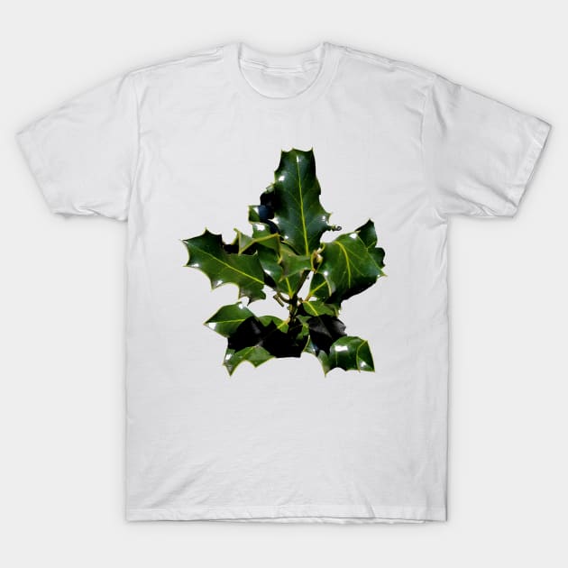 Holly Branch Isolated T-Shirt by mavicfe